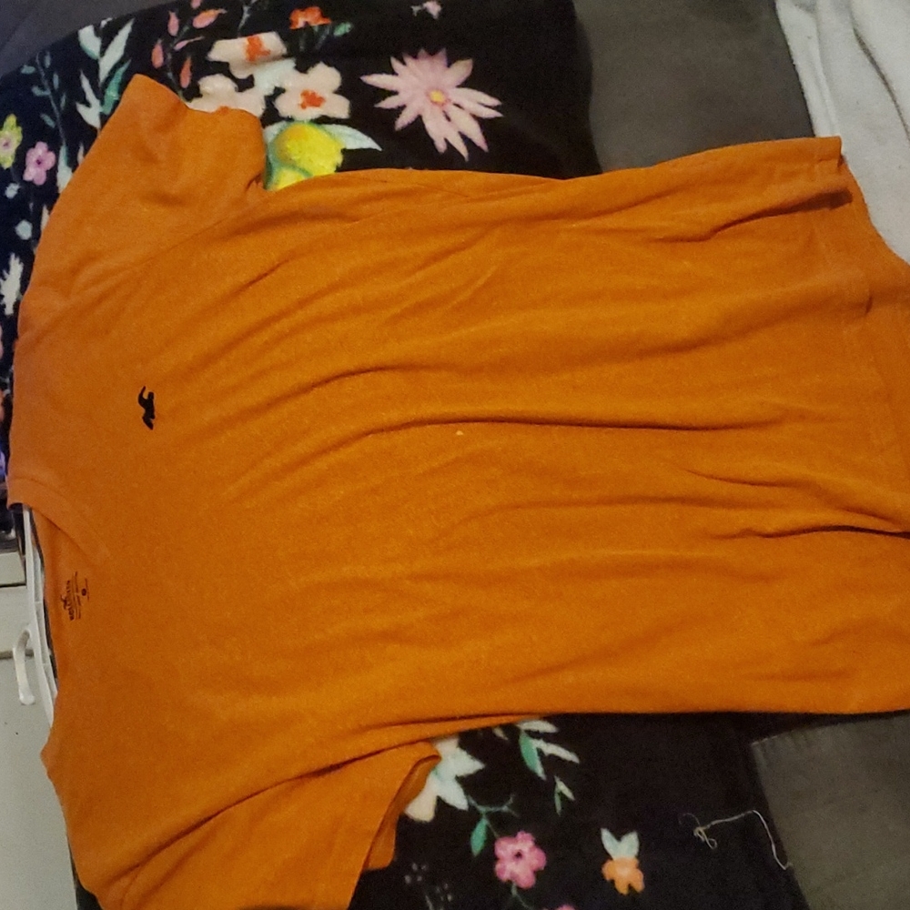 Medium Hollister tee shirt